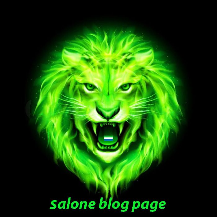 salone blog
