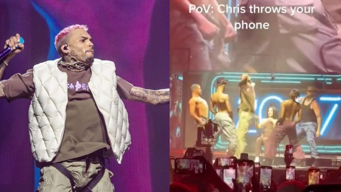 artists aside Chris Brown to throw fans phone into crowd