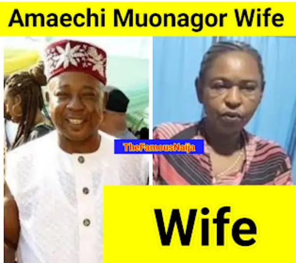 amaechi muonagor wife