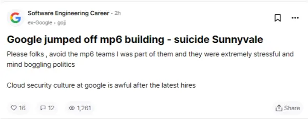 google sunnyvale suicide